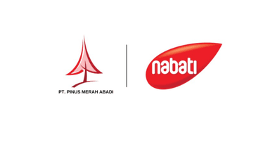 lokersulut.com - PT Pinus Merah Abadi detail